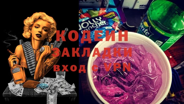 прущие грибы Абаза