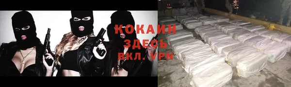 прущие грибы Абаза
