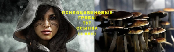 крисы Абдулино